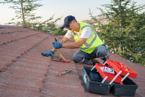 Best Roof Gutter Cleaning  in White Hall, WV
